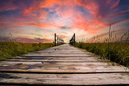 wooden bridge in the salt marshes on the north sea in the sunsetの写真素材