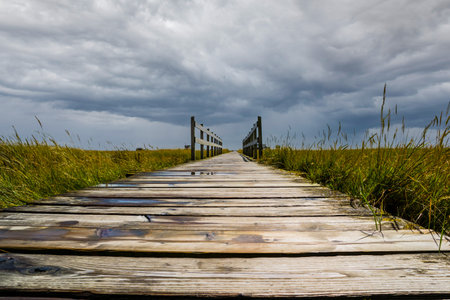 wooden bridge over the north sea in cloudy skiesの写真素材
