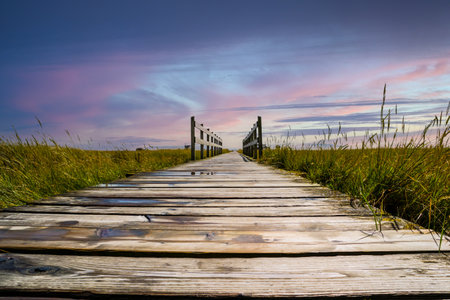 wooden bridge in the salt marshes on the north sea in the sunsetの写真素材