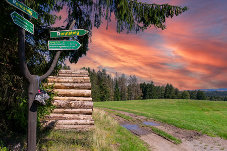 View of the Thuringian Forest at Rennsteig with sunsetの写真素材