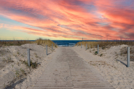 Path on the Baltic Sea in Usedomの写真素材