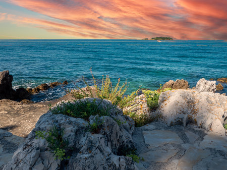 Rocks with reef on the Adriatic Sea in Croatiaの写真素材