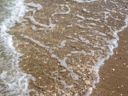 wave on the beach with musselsの写真素材