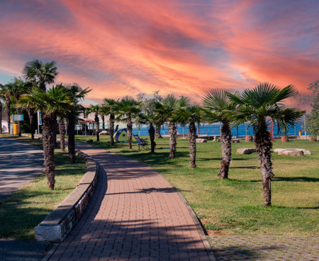 Beach promenade with palm trees on the Adriatic Sea in Croatiaの写真素材