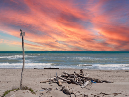Sunset on the Adriatic Sea with driftwood on the natural beachの写真素材