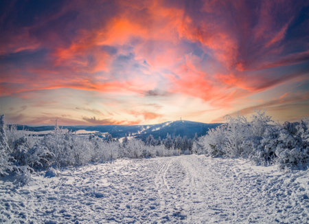 Landscape in winterの写真素材