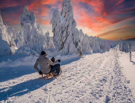 Sledging on the Fichtelberg in the ore mountainsの写真素材