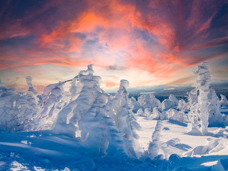 Wintry winter landscape in the Erzgebirgeの写真素材