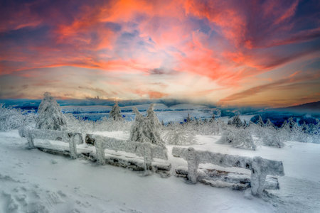 Benches in the snow in the ore mountainsの写真素材