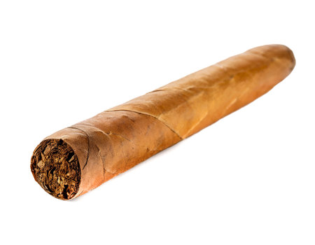 Cigar isolated on white backgroundの素材