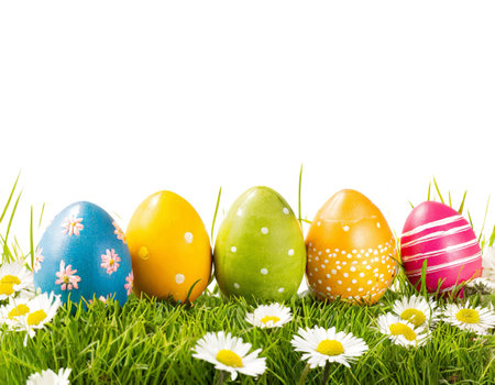 Easter eggs in grass isolated whiteの素材