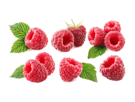 Raspberry collection isolated on white backgroundの素材