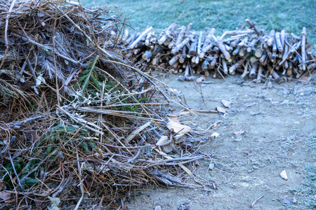 Garden waste in the garden to burn in winterの写真素材