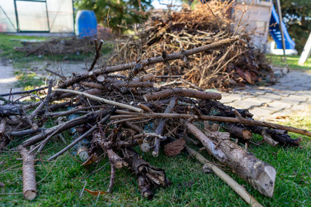 Garden waste in the garden to burn in winter