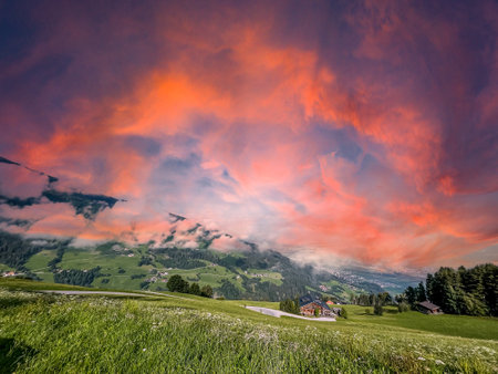 meadow with flowers and mountains alpsの写真素材