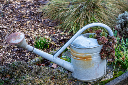 old watering can in the gardenの写真素材
