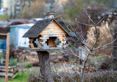 bird house on a tree in the gardenの写真素材