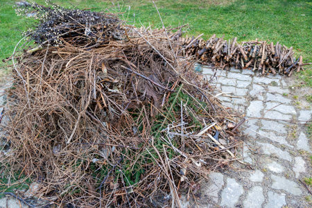 Pile of garden waste to burn in the gardenの写真素材