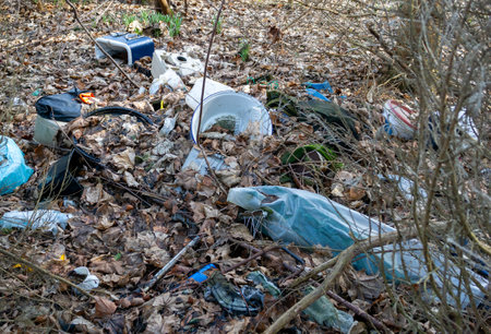 illegal dumping in a forestの写真素材