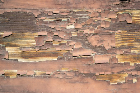 weathered peeling brown paint on a wooden wallの写真素材