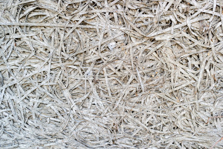 wood wool lightweight building board backgroundの写真素材