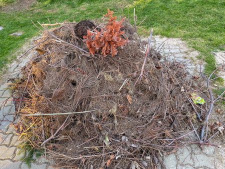 Pile of garden waste to burn in the gardenの写真素材
