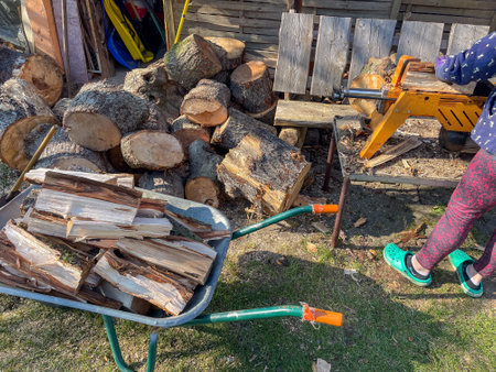 Firewood in a wheelbarrow after splitting with logs in the backgroundの写真素材