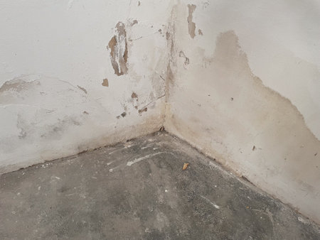 Water damage on the wall in the roomの写真素材