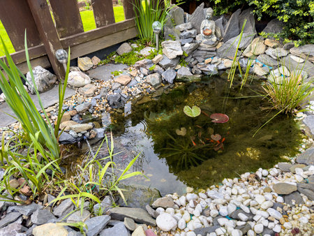 garden pond in the spring with natural stonesの写真素材