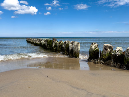 Groyne on the beach on the Polish Baltic Sea coastの写真素材