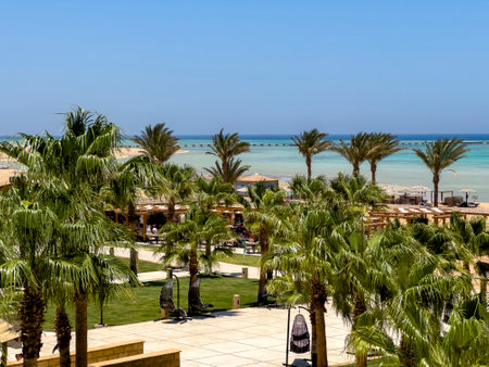 beach with trees and palms, red sea riviera, marsa alam egyptの写真素材