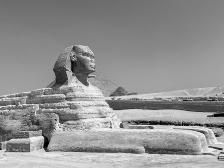 statue of the sphinx Black and white photography