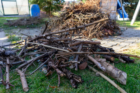 Heap of green waste in autumn to burn in the gardenの写真素材