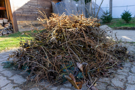 Heap of green waste in autumn to burn in the gardenの写真素材