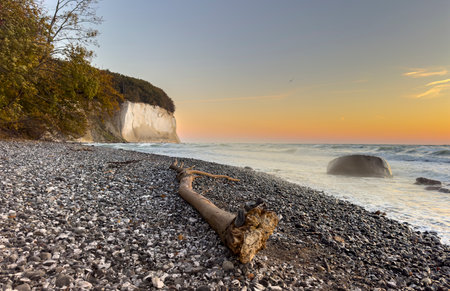 Chalk cliffs on RÃ¼gen are illuminated by the sun with a stone beach and tree trunk in the foregroundの写真素材
