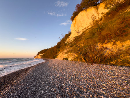 Chalk cliffs in Jasmund National Park are illuminated by the sun in autumn, RÃ¼gen Island, Baltic Sea, Germanyの写真素材