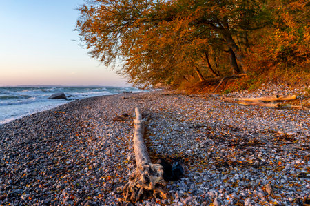 morning Chalk cliff Sassnitz on Island RÃ¼gen in Germany in the autumnの写真素材