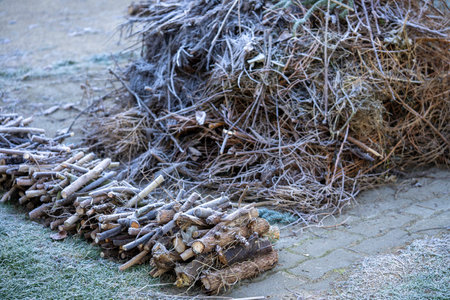 Heap of green waste in autumn in the gardenの写真素材