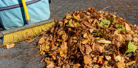 Pile of leaves with broom and bucket in autumnの写真素材