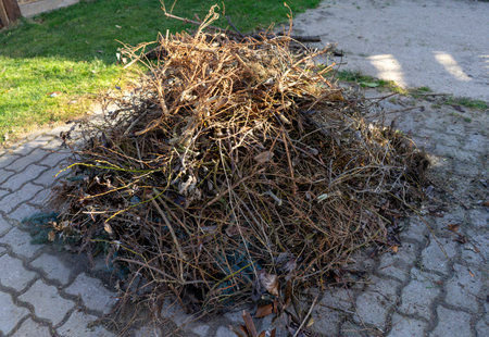 Heap of green waste in autumnの写真素材