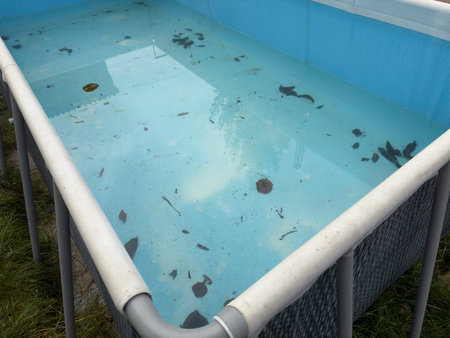 Pool in winter with leaves and dirt on the groundの写真素材