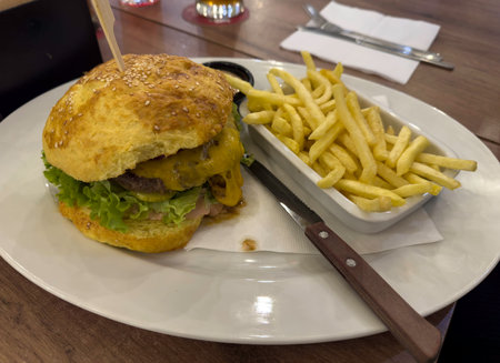 Homemade cheeseburger with salad and friesの写真素材