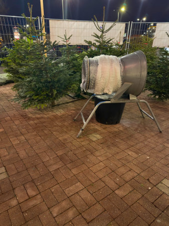 Christmas tree sale at the eveningの写真素材