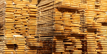 Panorama wooden boards Lumber construction site backgroundの写真素材