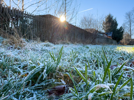 Frozen meadow in winter in freezing cold with frost and sun in the morningの写真素材