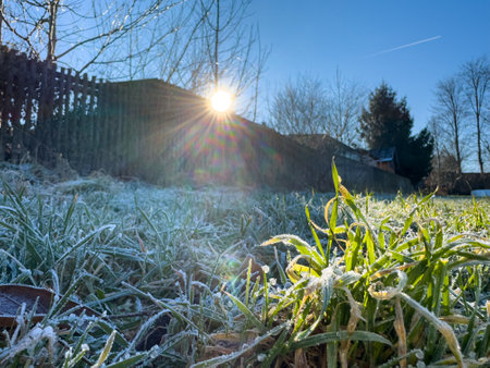 Frozen meadow in winter in freezing cold with frost and sun in the morning wallpaperの写真素材
