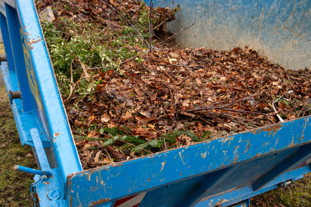 Container with leaves and green waste in autumnの写真素材