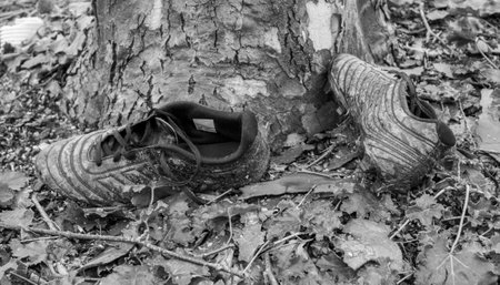 Old soccer shoes decay in nature on a tree art designの写真素材