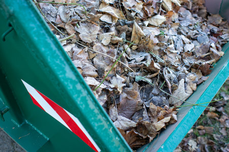 Container with leaves and green waste in autumnの写真素材