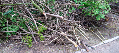 panorama Pruning shrubs in winter gardeningの写真素材